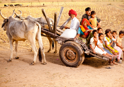 Rajasthan Tours Guide